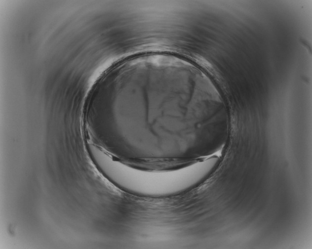 X0000102341334200808221622