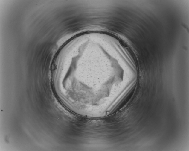 X0000102341335200808221622