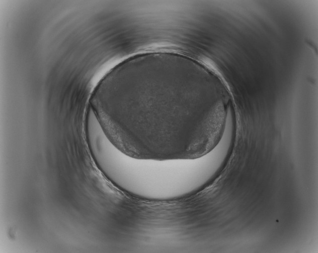 X0000102341336200808221622