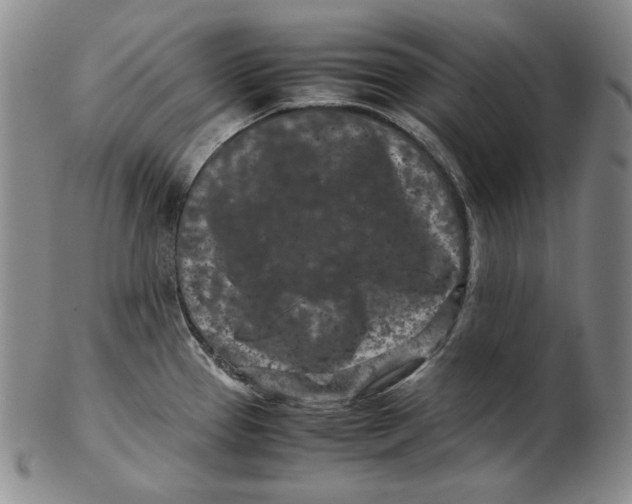 X0000102341337200808221622