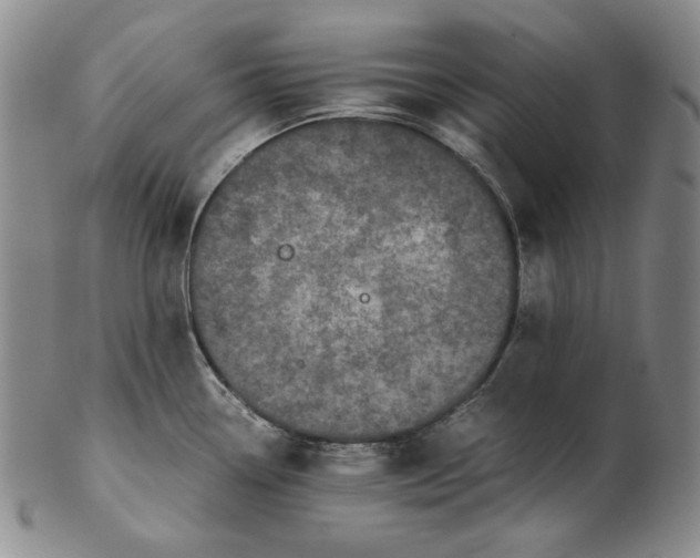 X0000102341338200808221622