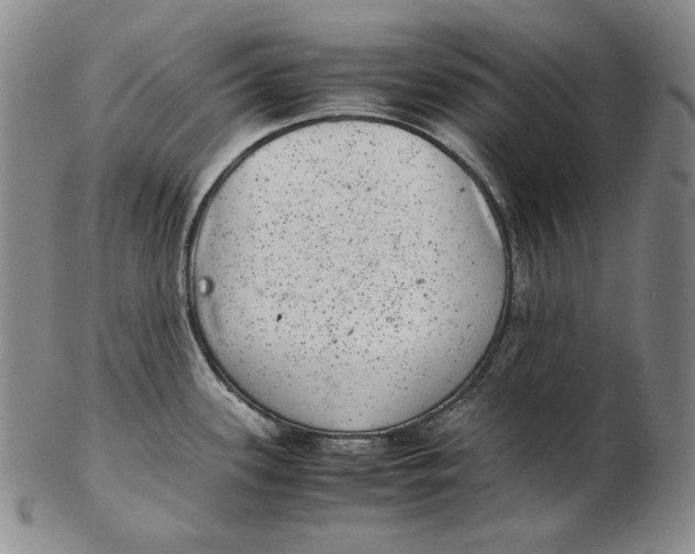 X0000102341339200808221622