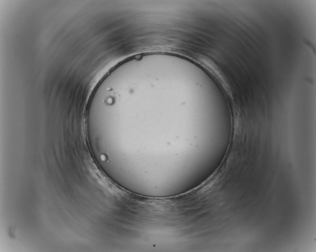 X0000102341340200808221622