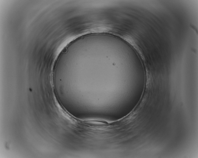 X0000102341342200808221622