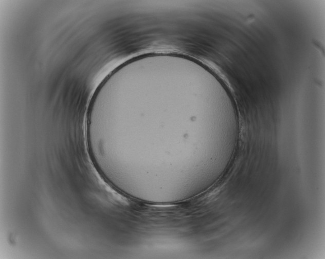 X0000102341343200808221622