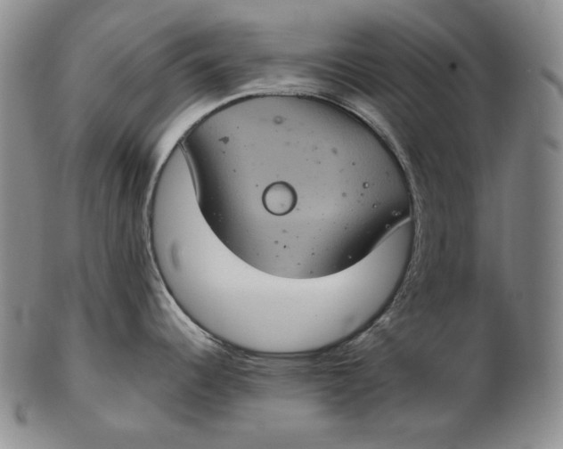 X0000102341344200808221622