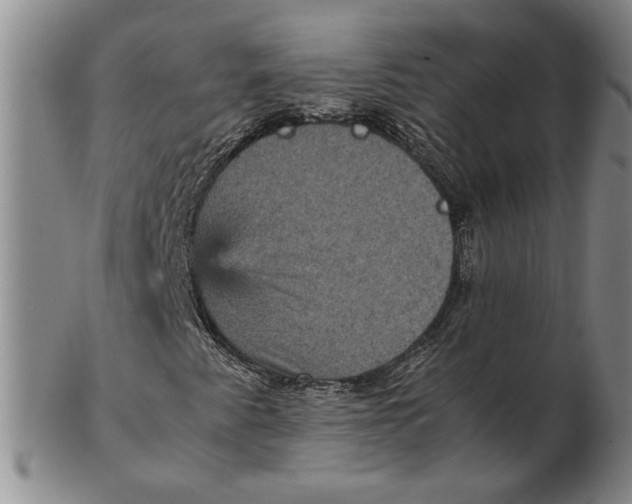 X0000102341345200808221622