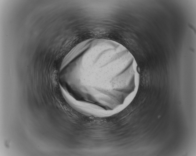 X0000102341346200808221622