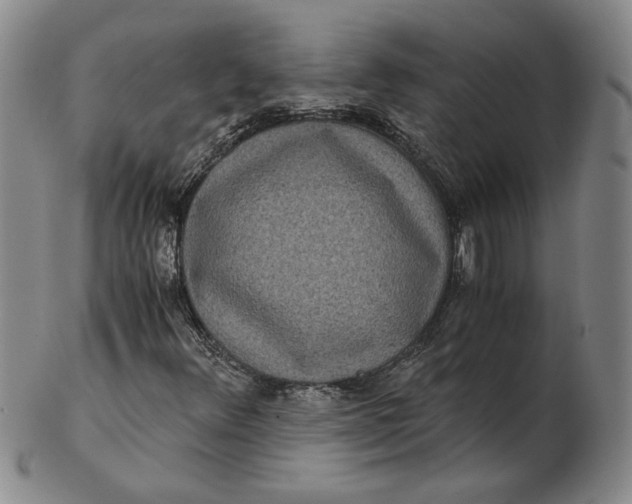 X0000102341348200808221622