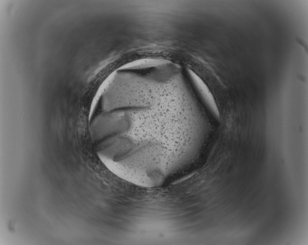 X0000102341350200808221622