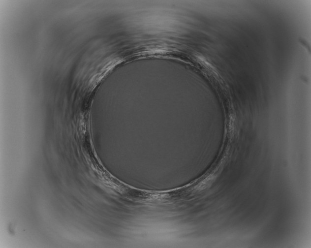 X0000102341353200808221622