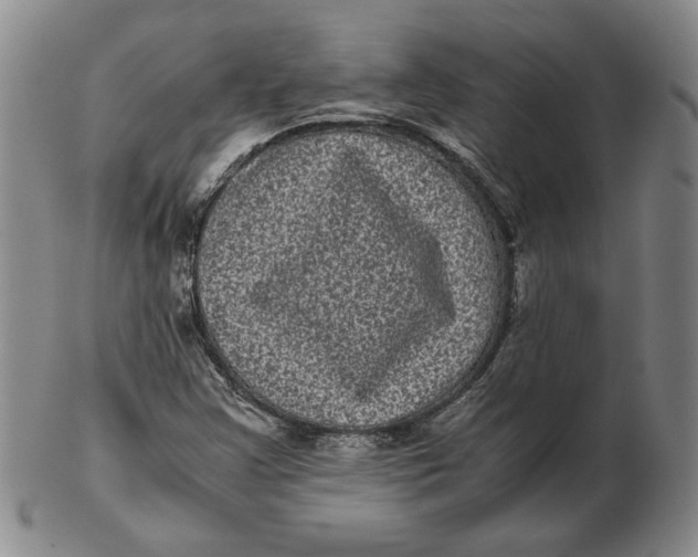 X0000102341355200808221622