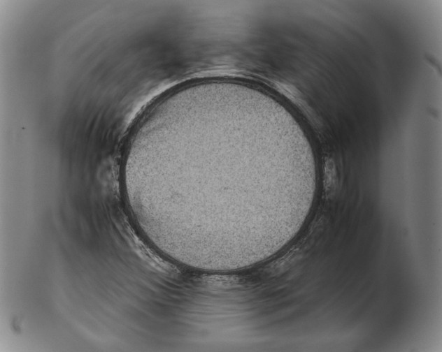 X0000102341356200808221622