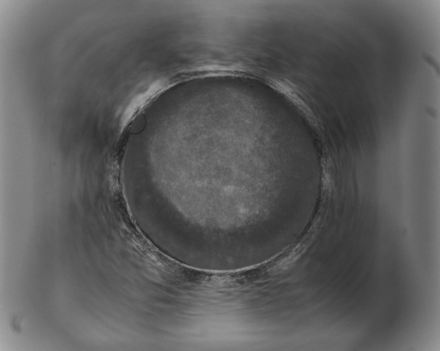 X0000102341357200808221622