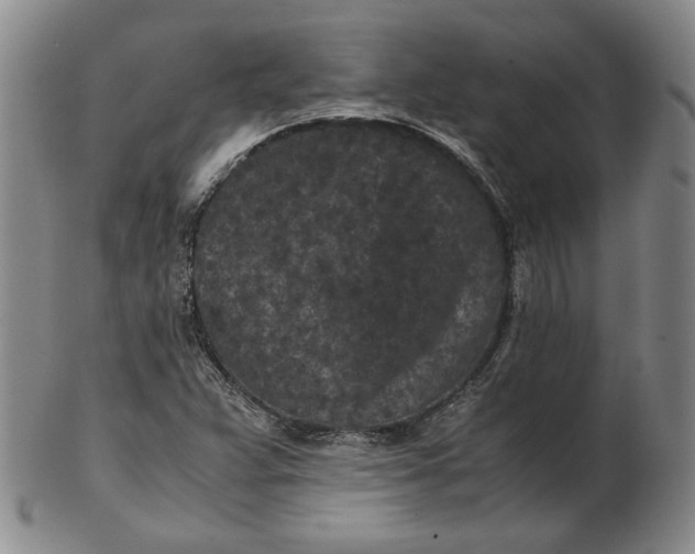 X0000102341359200808221621