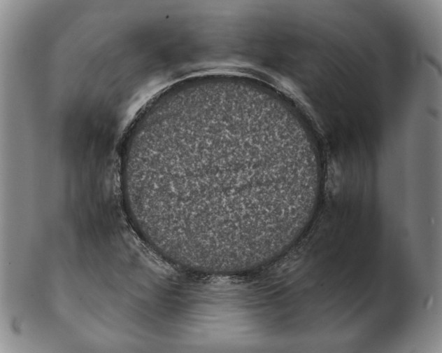 X0000102341360200808221621