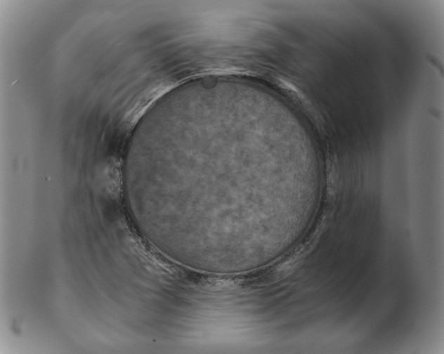 X0000102341361200808221621