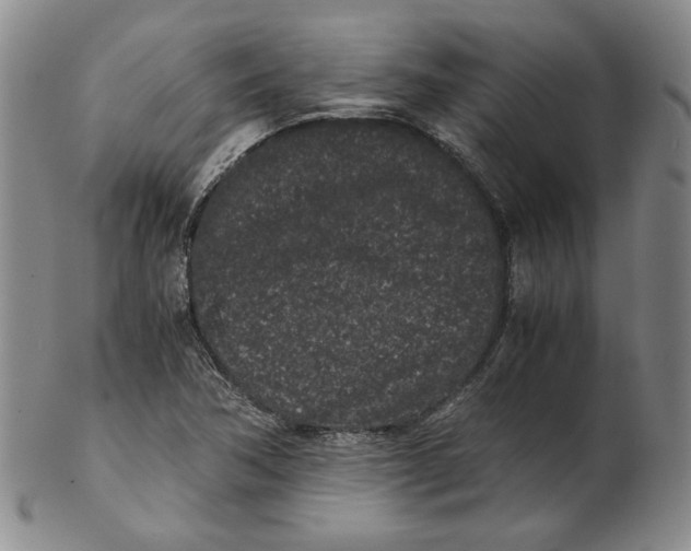 X0000102341362200808221621