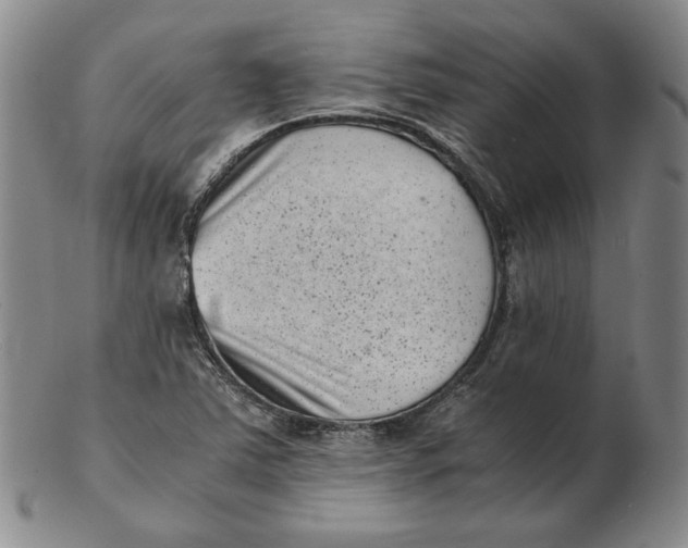 X0000102341363200808221621