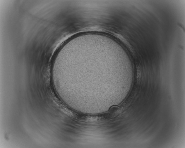 X0000102341364200808221621