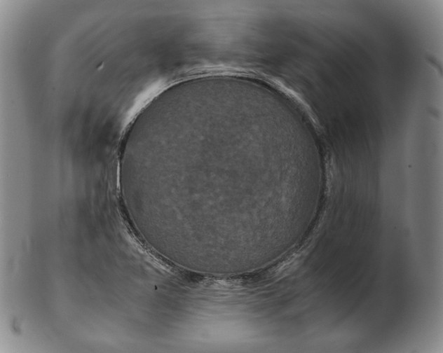 X0000102341365200808221621