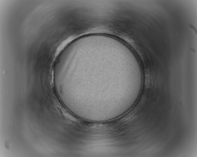 X0000102341366200808221621