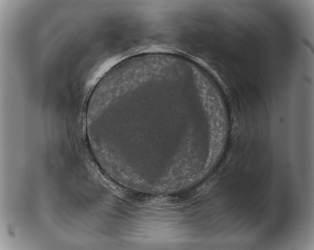 X0000102341367200808221621