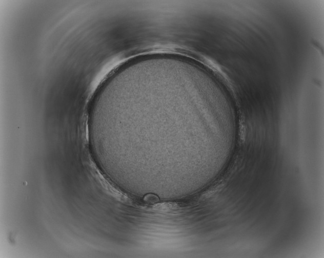 X0000102341368200808221621