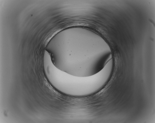 X0000102341369200808221621