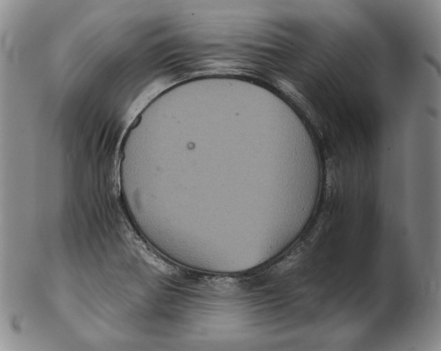 X0000102341370200808221621