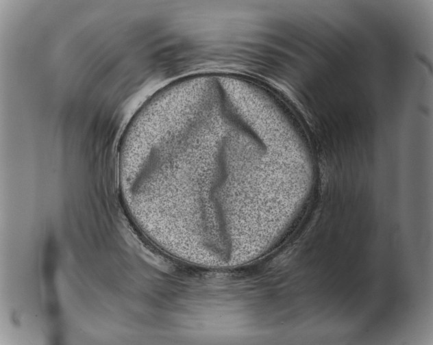 X0000102341371200808221621