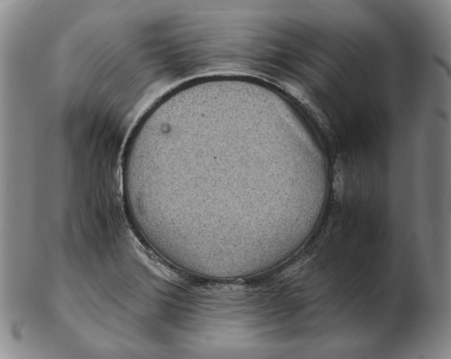 X0000102341372200808221621