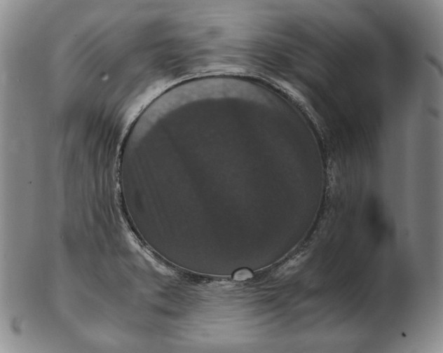 X0000102341373200808221621