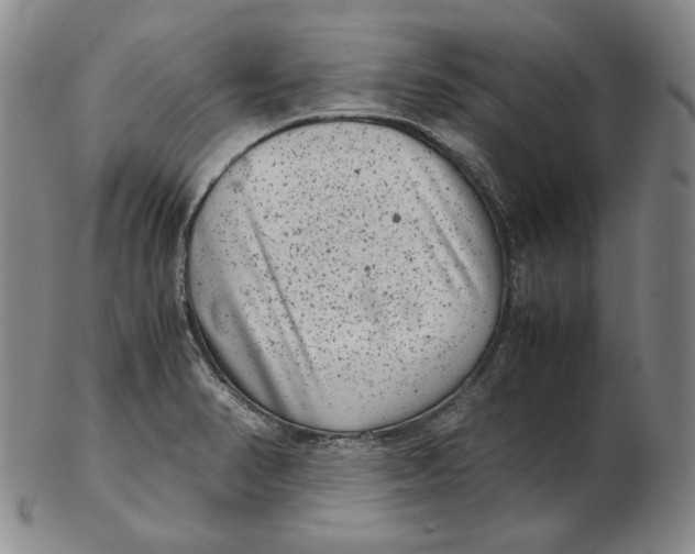 X0000102341374200808221621