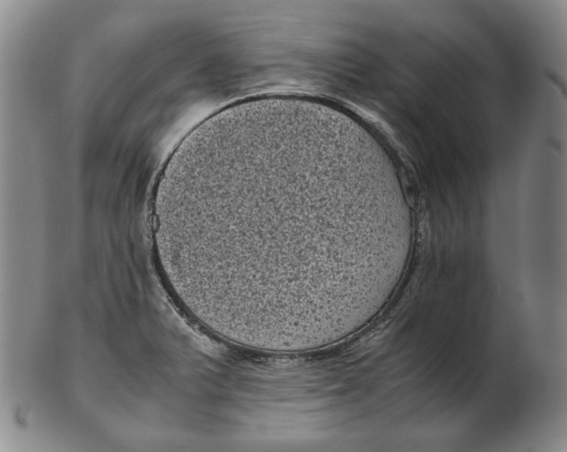 X0000102341375200808221621