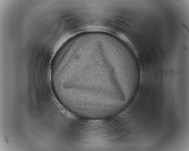 X0000102341376200808221621