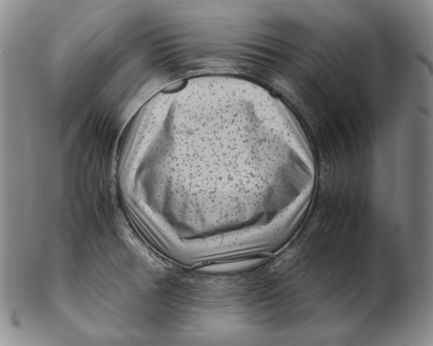 X0000102341378200808221621