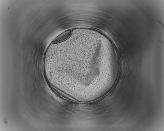 X0000102341379200808221621