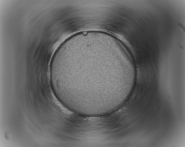 X0000102341380200808221621