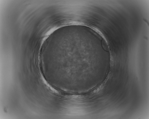 X0000102341381200808221621