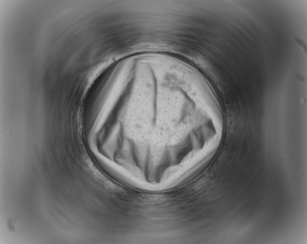 X0000102341382200808221621