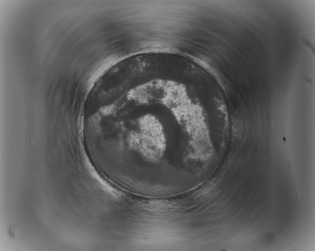 X0000102341383200808221621