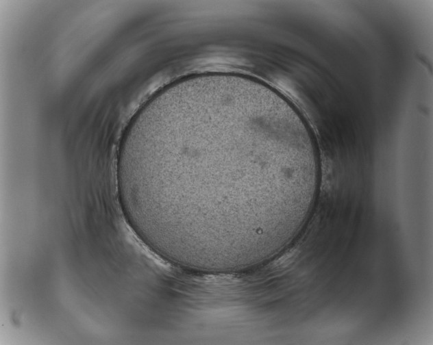 X0000102341384200808221621