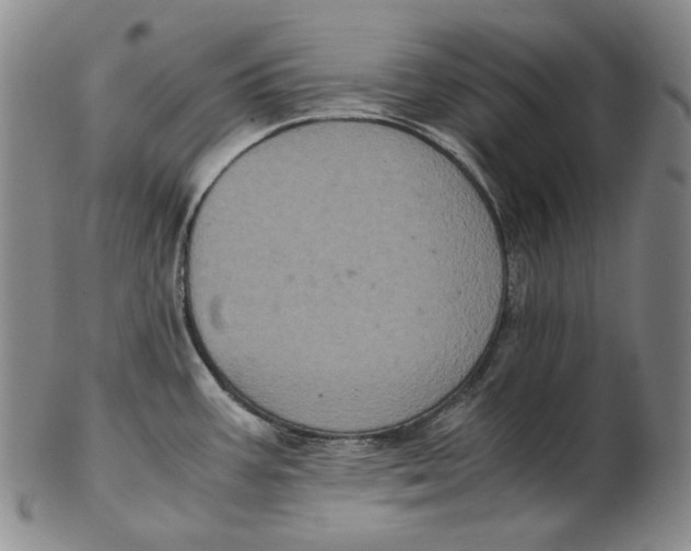 X0000102341387200808221621