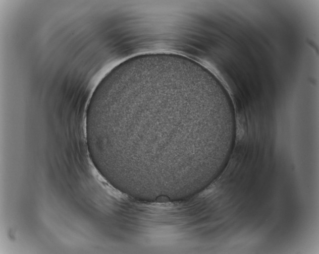 X0000102341388200808221621