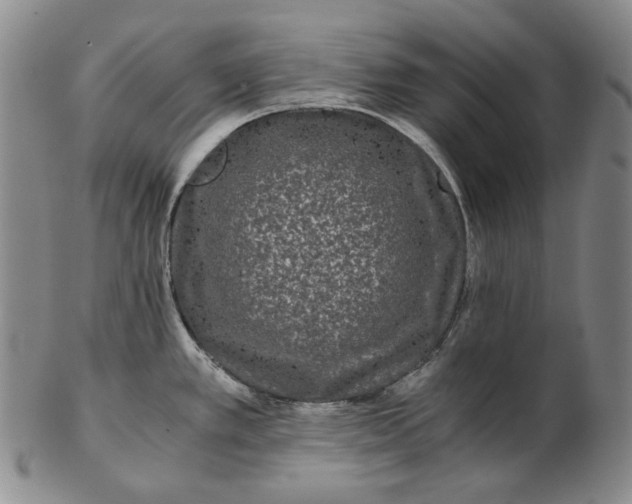 X0000102341389200808221621