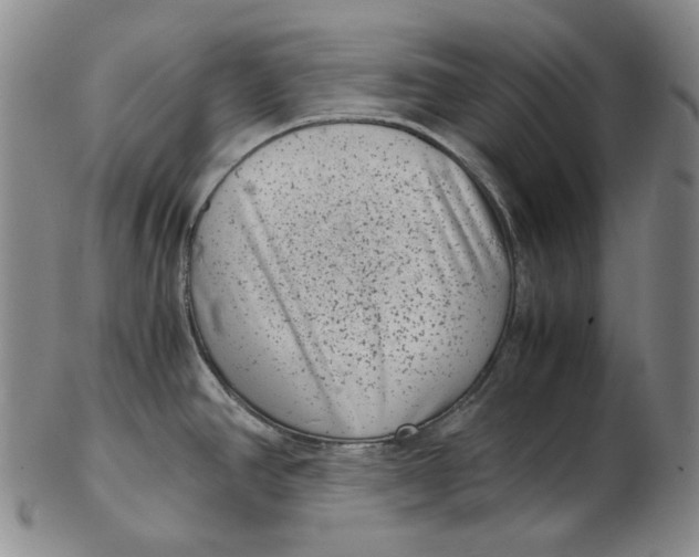 X0000102341390200808221621