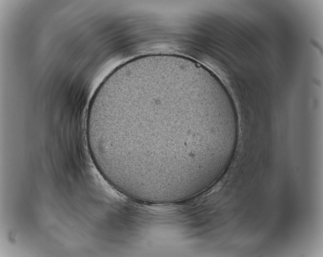 X0000102341392200808221621