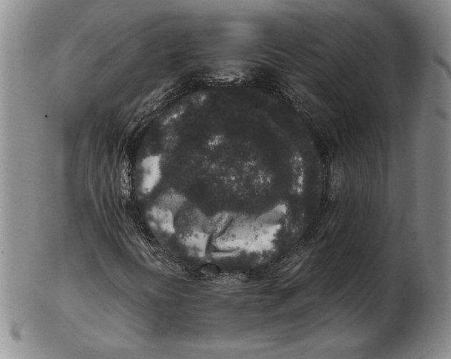 X0000102341394200808221620