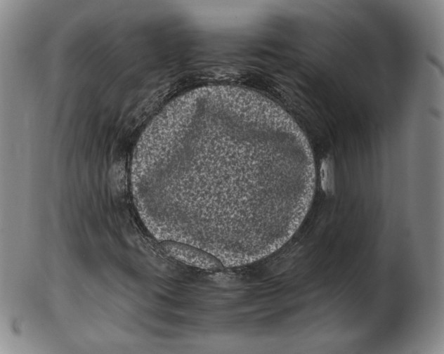 X0000102341395200808221620